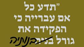 הבושה עוברת צד, צילום: אדרי 8